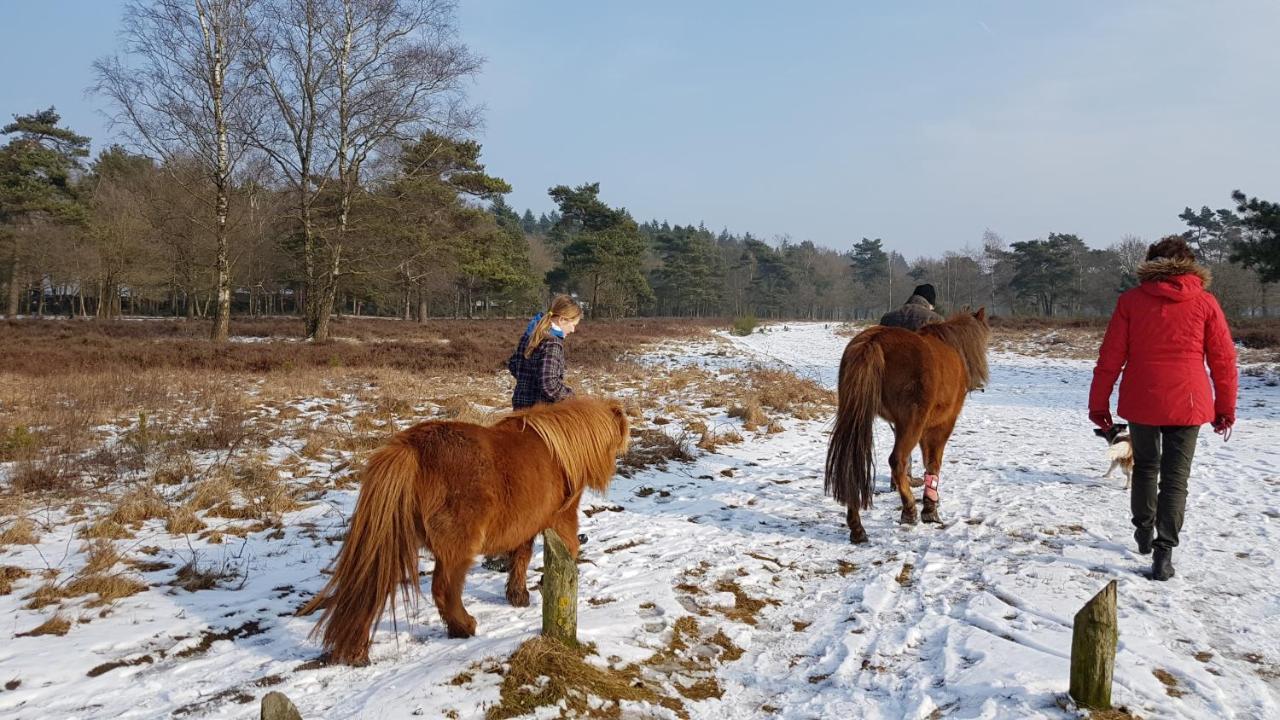 Chalet Op De Veluwe # Beuk Putten Extérieur photo