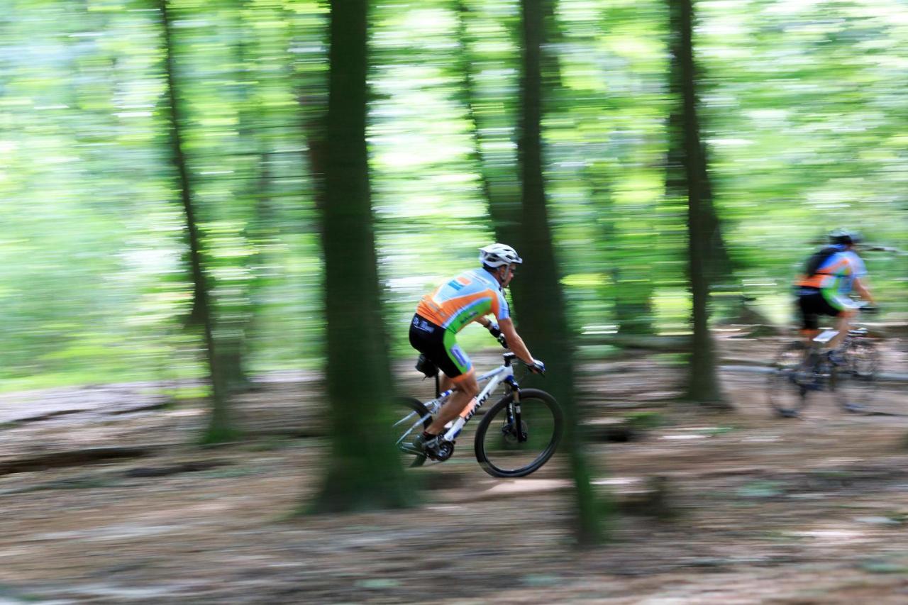 Chalet Op De Veluwe # Beuk Putten Extérieur photo